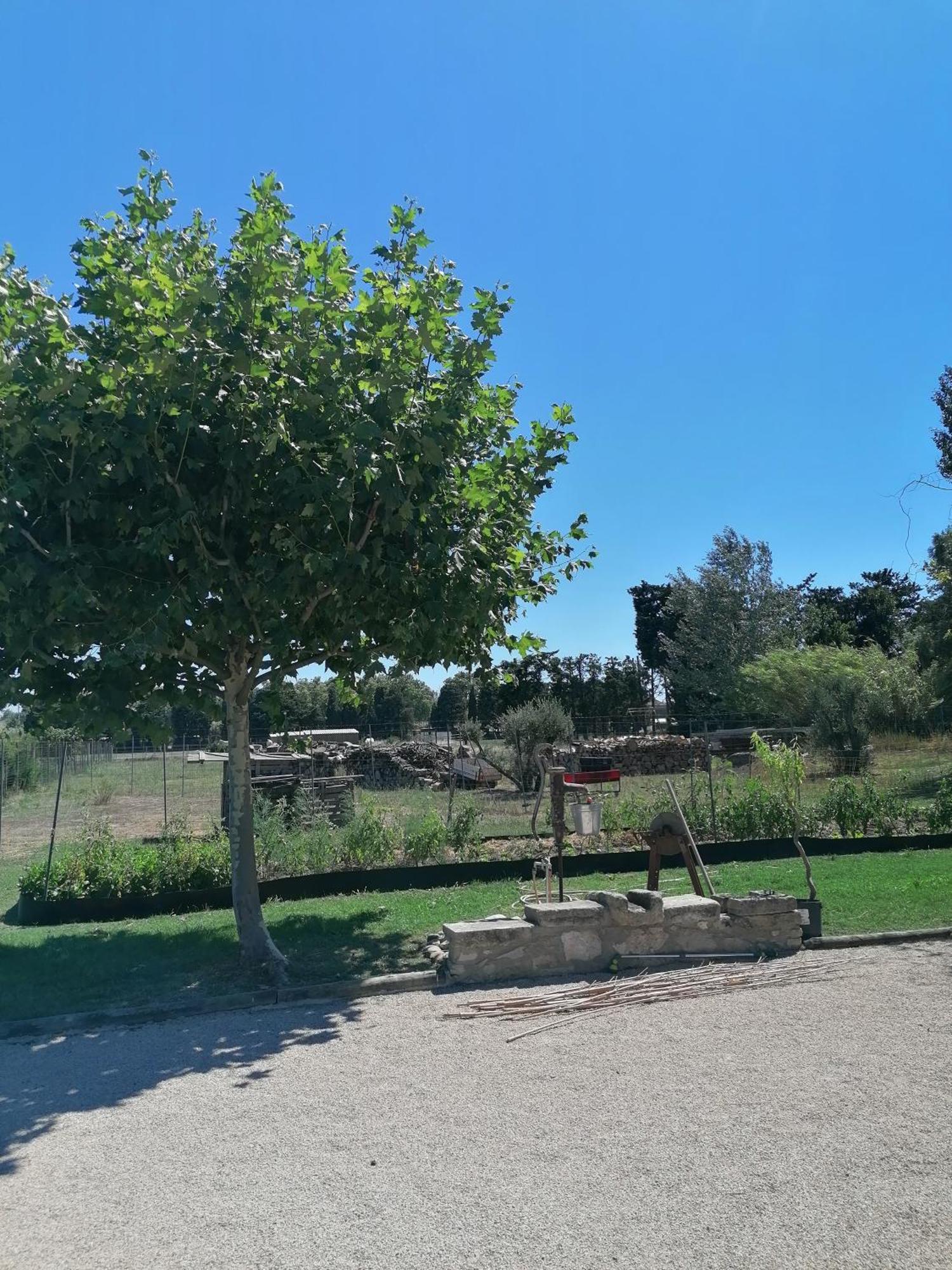 Masribou2 Διαμέρισμα Barbentane Εξωτερικό φωτογραφία